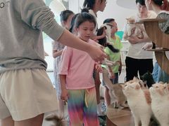 -飞行喵MR PILOT|猫舍·猫咖(静安大融城店)
