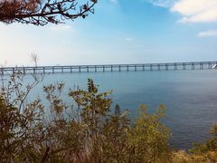 -星海湾跨海大桥
