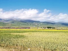 -青海湖国家重点风景名胜区
