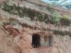 -乐山市博物馆