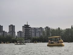 -洋湖国家湿地公园
