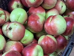 -南汇新场正宗水蜜桃采摘