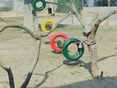 -杭州野生动物世界