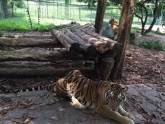 -深圳野生动物园