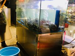 -本炙炭烤·蒲烧活鳗料理店(金沙洲店)