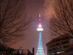 -龙塔