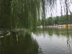 -莲湖公园