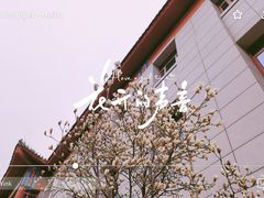 -中国中医科学院西苑医院(本部)