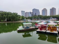 -团结湖公园