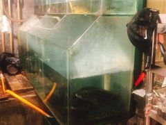 水产区-毛草房(南辛庄街店)