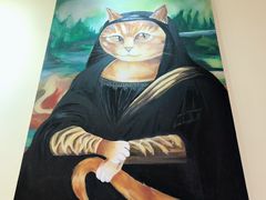 -猫色咖啡·猫咖