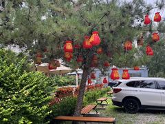 -中卫御苑福膳·养生局(圆明园店)
