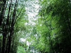 -狼山风景名胜区