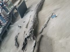-金沙遗址博物馆