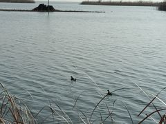 -苏州太湖湖滨国家湿地公园