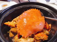 黄金膏蟹焗走地鸡-皇朝会.经典传统粤菜(外滩店)