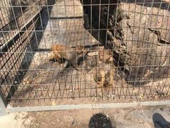 -大连天门山国家森林公园