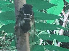 -碓臼峪自然风景区