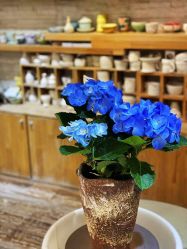 -今日陶艺(富力广场店)