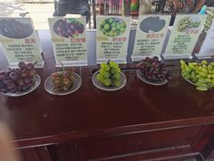 -马陆小张葡萄园农家乐