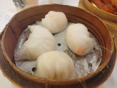 -凤城酒家(渣华道)