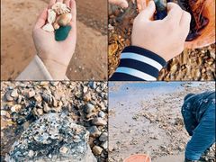 -兴城海滨风景区