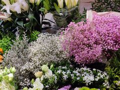 -爱尚幸福鲜花(上地实体店)