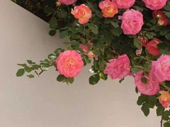 -万利记·长沙粉面小吃(福永天虹店)