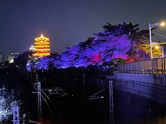 -黄鹤楼公园(黄鹤楼)