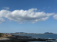 -涉地可支