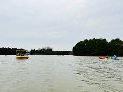 -上海海湾国家森林公园