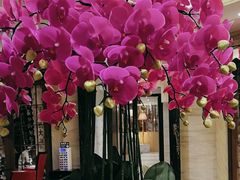 -上海小南国(国发店)