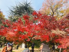 -虞山风景区