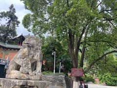 -报恩寺(平武县)