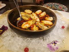 -海派悦庭·海胆烧麦·新融合菜(凯德广场店)