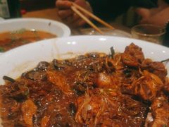 -鸽子窝(青塔店)