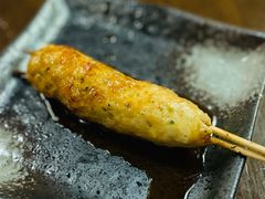 鸡肉丸子-串鑫
