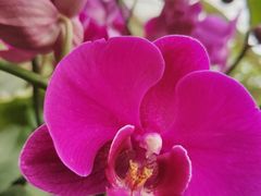 -南通洲际绿博园