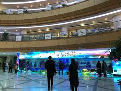 -河南省人民医院(院本部)