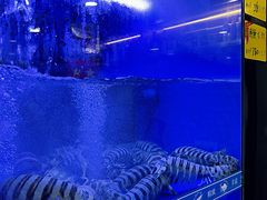 -一哥美食(总店)