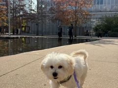 -小呆的宠物店·宠物售卖·宠物寄养(城西店)