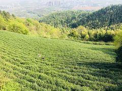 -敬亭山风景名胜区