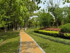 -昆山城市生态森林公园