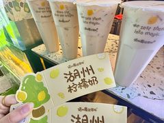 -猫的魔法密林(衣裳街店)