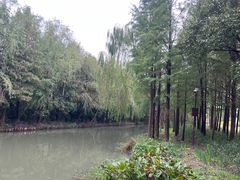 -同里国家湿地公园