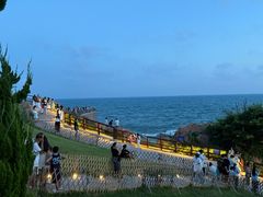 -小麦岛公园