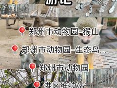 -郑州市动物园