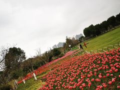 -院士公园