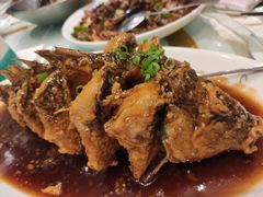 -金春禧·鲁菜海鲜(延吉路万达店)