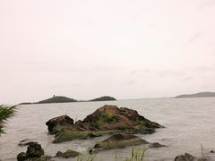 -上海市保健医疗中心